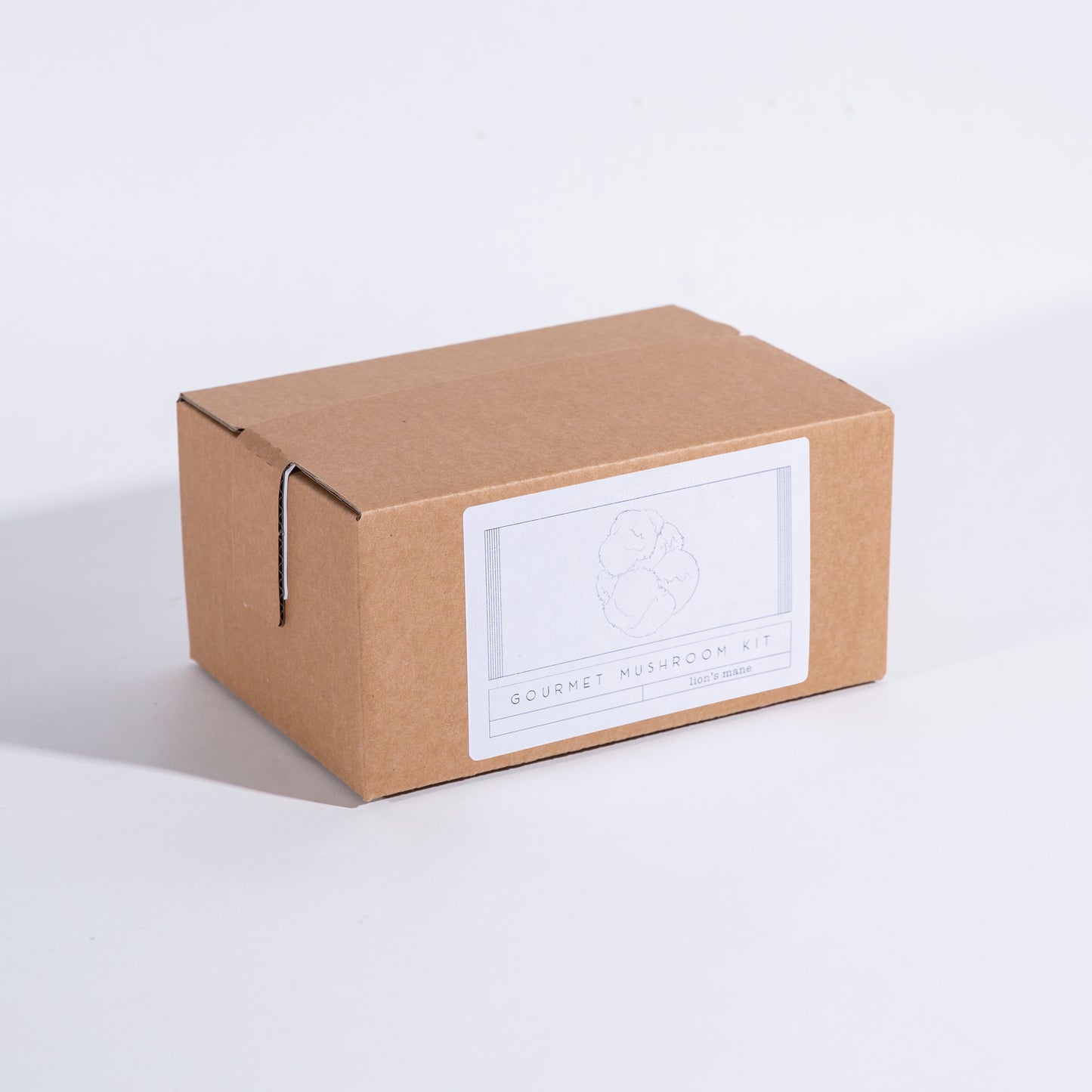 Golden Oyster Mushroom Grow Kit - Subterra Bioworks